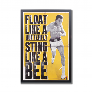 Float like a butterfly sting like a bee poster in custom frame